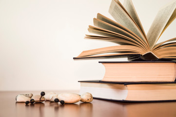 open book on a light background