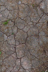 cracked soil texture