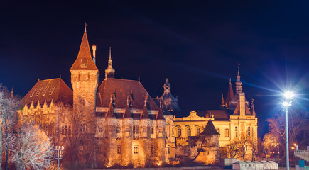 Fototapeta premium Vajdahunyad castle in Budapest Hungary