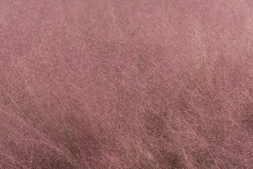 Japan Garden Details 