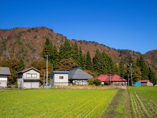 Fototapeta na wymiar 中川集落の秋を歩く