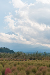 Obraz premium Japan Fuji Clouds