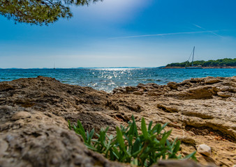 Froschperspektive auf das Meer