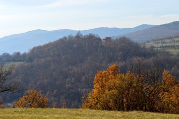 Fototapeta premium landscape in autumn 