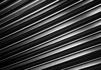 Lines and textures of Palm leaves - black and white