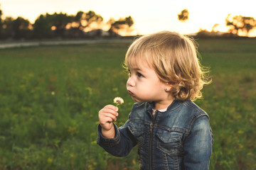 Little girl in the field with a flower in her hand. Concept children playing with flowers