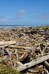 Fototapeta na wymiar Washed Up driftwood on the Beach at Bandon, Oregon.