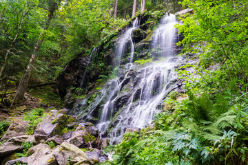 Germany, Holiday destination Zweribach waterfall in black forest region