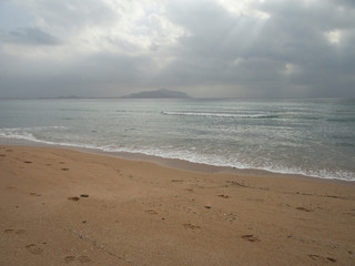 Seascape - desert beach with yellow sand and endless sea in cloudy weather