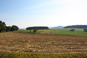 Landscape with harvested fields