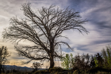 Obraz premium fall foiliage