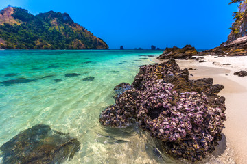 Picturesque dark stone with sticky petrified shells on the beach with white sand and transparent turquoise water of the Adaman Sea, tropical island and blue sky. Tup Island, AO Nang, Krabi, Thailand.