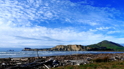 Beach in New Zealand