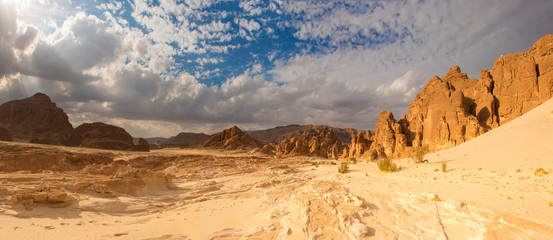 Panorama Sand desert Sinai, Egypt, Africa - obrazy, fototapety, plakaty