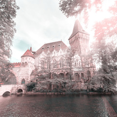Vajdahunyad Castle in the City Park of Budapest, Hungary.