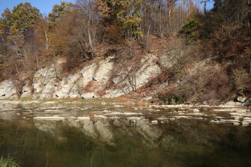 Waldlandschaft