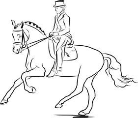 horse jumping obstacles during equestrian