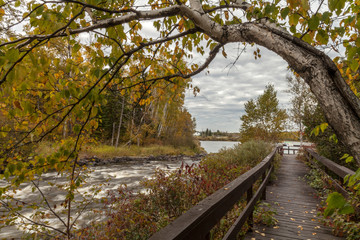 wooden walkway by a river