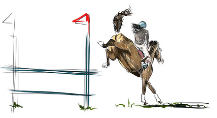 horse jumping obstacles during equestrian