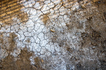 Planet Terrain Surface