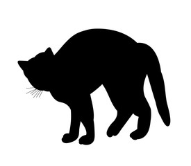 silhouette cat  vector