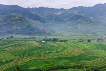 Fototapeta na wymiar Terraced rice fields in Mu Cang Chai, Vietnam