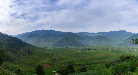 Fototapeta na wymiar Terraced rice fields in Mu Cang Chai, Vietnam