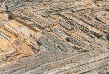 Chevron folds in the cliffs at Millook Haven, North Cornwall, England.
