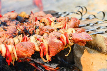 Жаренное и сочное мясо жарится на шампурах на костре, шампура на кирпичах, под ними древесные горящие угли.