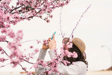 Woman with smartphone at blooming tree