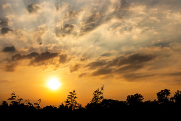Sunset in the twilight time with Clouds and sun shines through rays of light sky yellow and orange color in the illuminated picturesque sky over the trees.