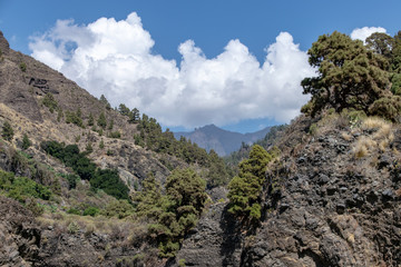 Volcanic landscape of La Palma Island, Canaries, looking towards the crater of the volcano - Caldera de Taburiente