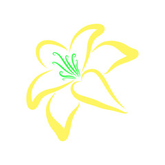 Blooming lily with bright yellow petals, pattern