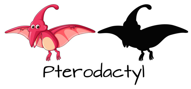 A pterodactyl on white background