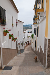 Olvera, Cádiz, Andalusien, Spanien