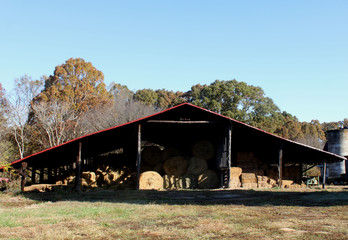 Hay for the winter