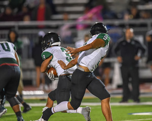 Great action shots of high school football player making amazing plays during a football game © Joe