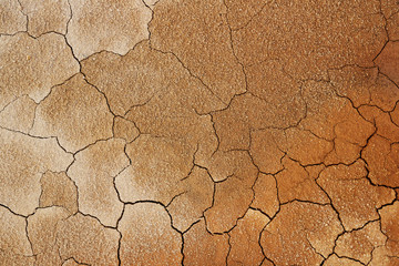 cracked orange clay ground