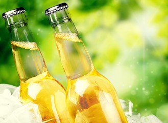 Beer bottles with ice on light background