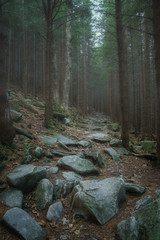 Carpathians with. Dzembronya