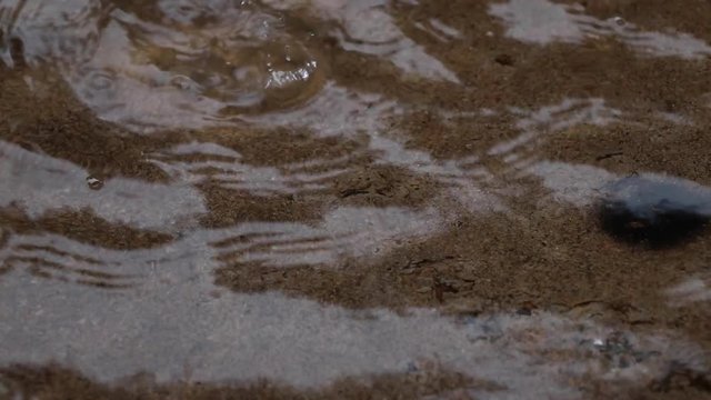 Zoom in on a rain puddle.