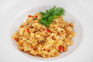 Delicious rice with fresh slices of vegetables and gravy, isolated