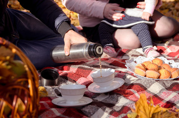 picnic