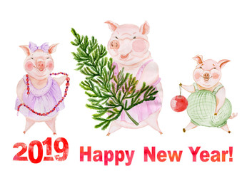 Funny family of pigs are going to decorate Christmas tree. Greeting card with Happy New Year 2019 sign. Watercolor painting. Hand painted illustration.