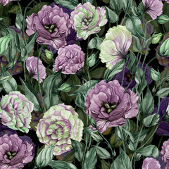 Obrazy  Piękne fioletowe i szare kwiaty eustoma (lisianthus) z liśćmi i zamkniętymi pąkami. Kwiatowy wzór. Malarstwo akwarelowe. Ręcznie malowane ilustracja botaniczna.