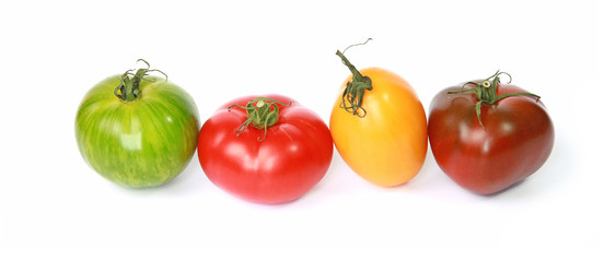 Diff&eacute;rentes vari&eacute;t&eacute;s de tomates