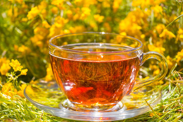 Tea composition on meadow and flowers