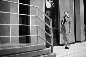 Fototapeta premium Beautiful woman at a business meeting