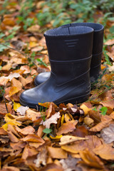 Blue gumboots stand on the ground full of autumn leaves in the forest. Harvest concept - gathering mushrooms in sunny day. Blue watertight, footwear for household and agricultural work