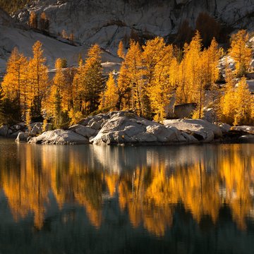 fall reflections